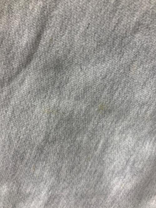 Champion REVERSE WEAVE（チャンピオン リバース ウィーブ）Champion REVERSE WEAVE (チャンピオン リバース ウィーブ) リバースウィーブスウェット ライトグレー サイズ:XLの古着・服飾アイテム