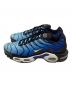 NIKE (ナイキ) AIR MAX PLUS OG BLACK/CHAMOIS-SKY BL サイズ:27.5：14000円