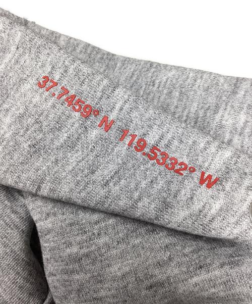 THE NORTH FACE（ザ ノース フェイス）THE NORTH FACE (ザ ノース フェイス) FRONT HALF DOME HOODIE ライトグレー サイズ:Sの古着・服飾アイテム