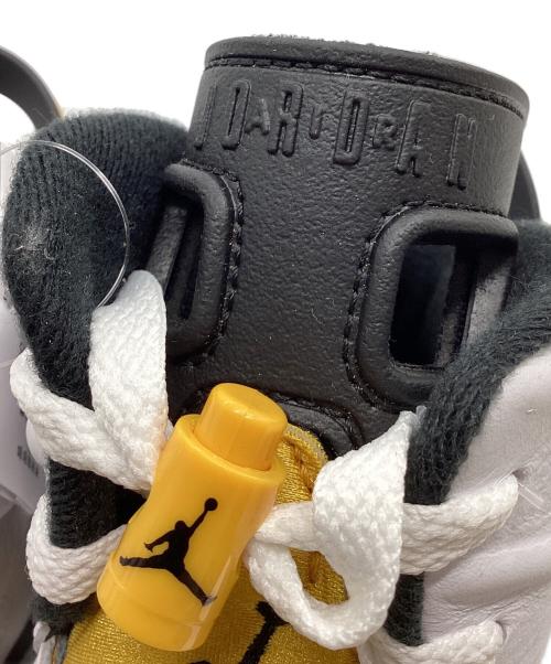 NIKE（ナイキ）NIKE (ナイキ) Air Jordan 6 Retro 