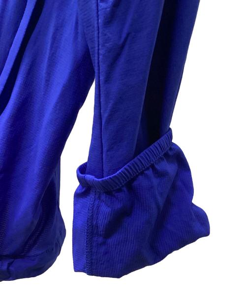 THE NORTH FACE（ザ ノース フェイス）THE NORTH FACE (ザ ノース フェイス) SWALLOWTAIL HOODIE ブルー サイズ:Mの古着・服飾アイテム