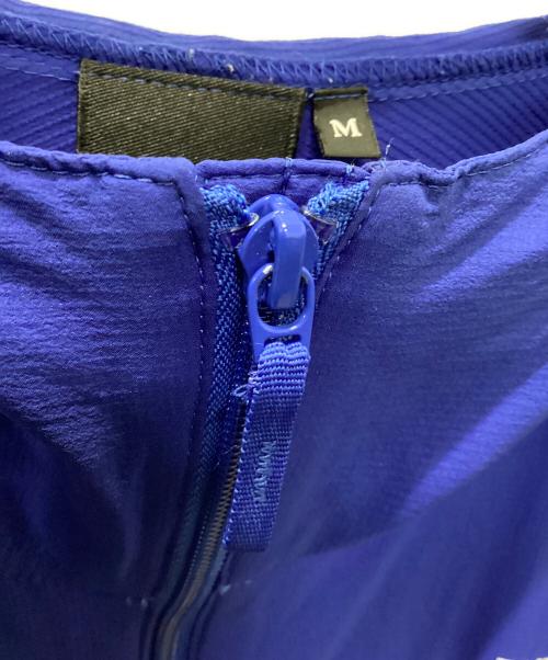 THE NORTH FACE（ザ ノース フェイス）THE NORTH FACE (ザ ノース フェイス) SWALLOWTAIL HOODIE ブルー サイズ:Mの古着・服飾アイテム