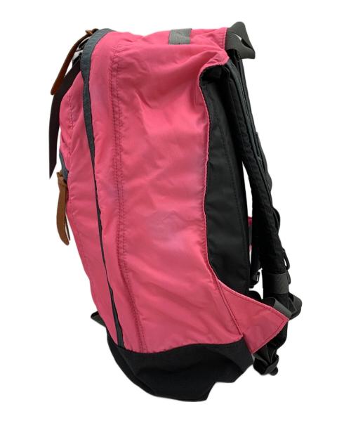 GREGORY（グレゴリー）GREGORY (グレゴリー) BEAMS BOY (ビームスボーイ) 別注 VINTAGE DAY PACK ピンクの古着・服飾アイテム