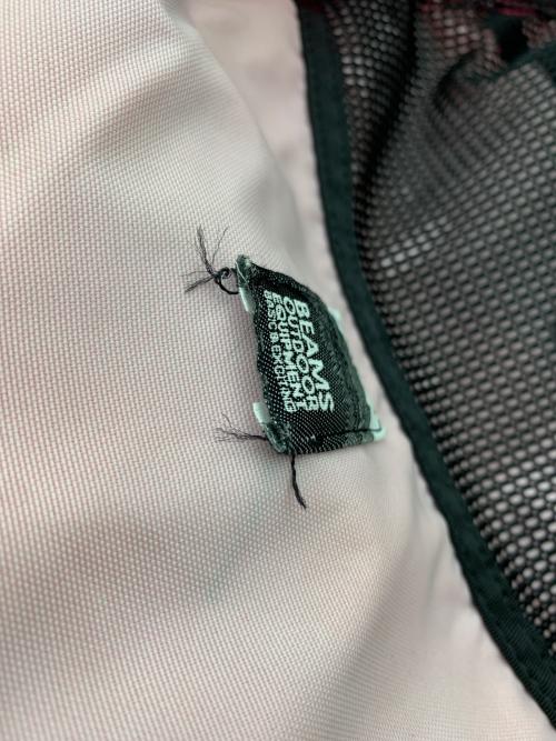 GREGORY（グレゴリー）GREGORY (グレゴリー) BEAMS BOY (ビームスボーイ) 別注 VINTAGE DAY PACK ピンクの古着・服飾アイテム