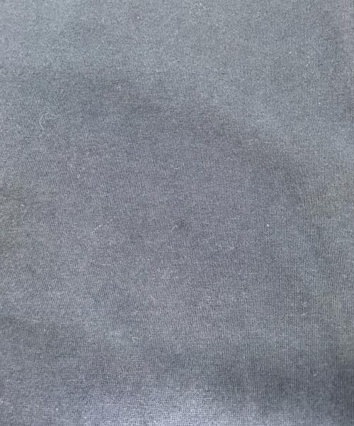 POLO RALPH LAUREN（ポロ・ラルフローレン）POLO RALPH LAUREN (ポロ・ラルフローレン) 半袖カットソー ネイビー サイズ:Lの古着・服飾アイテム