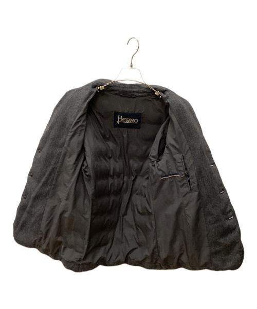 HERNO（ヘルノ）HERNO (ヘルノ) ダウンジャケット グレー サイズ:44の古着・服飾アイテム