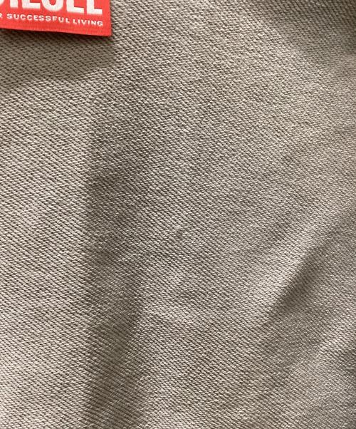 DIESEL（ディーゼル）DIESEL (ディーゼル) ジップスウェット ライトグレー サイズ:XXLの古着・服飾アイテム