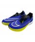 NIKE（ナイキ）の古着「ZOOMX STREAKFLY」｜ブルー×イエロー