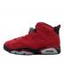 NIKE (ナイキ) Nike Air Jordan 6 Retro 