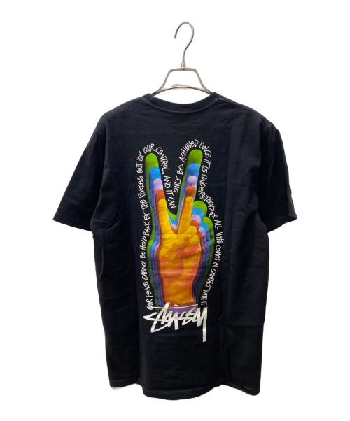 stussy（ステューシー）stussy (ステューシー) Tシャツ ブラック サイズ:Mの古着・服飾アイテム