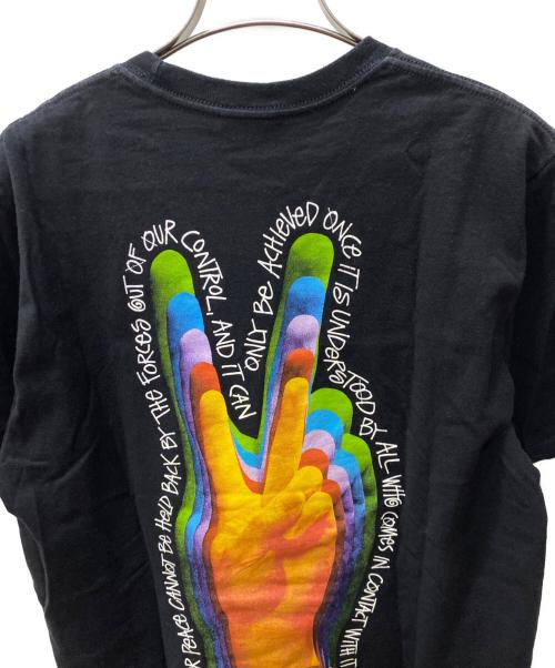 stussy（ステューシー）stussy (ステューシー) Tシャツ ブラック サイズ:Mの古着・服飾アイテム