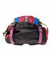 中古・古着 THE NORTH FACE (ザ ノース フェイス) HOT SHOT リュック マルチカラー：6000円