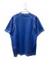 stussy (ステューシー) 半袖カットソー スカイブルー サイズ:M：5000円