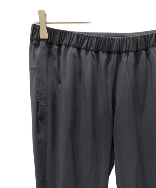 THE NORTH FACE（ザ ノース フェイス）THE NORTH FACE (ザ ノース フェイス) フレキシブルアンクルパンツ ブラック サイズ:Mの古着・服飾アイテム
