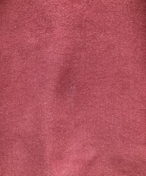 CarHartt（カーハート）CarHartt (カーハート) プルオーバーパーカー レッド サイズ:Mの古着・服飾アイテム