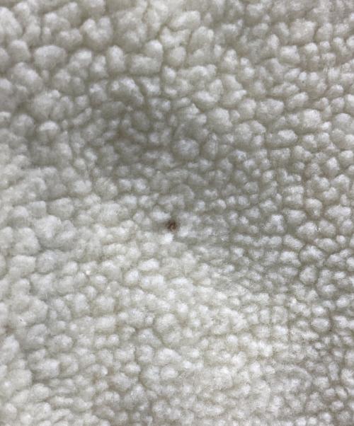 TAION（タイオン）TAION (タイオン) フリースジャケット アイボリー サイズ:Mの古着・服飾アイテム