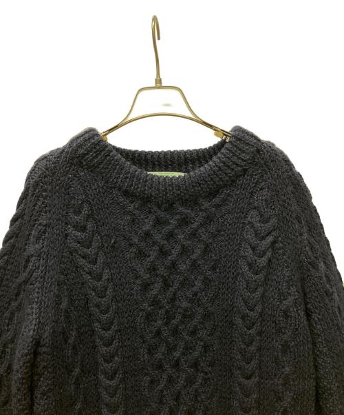 INVERALLAN（インバーアラン）INVERALLAN (インバーアラン) 厚手ニット ネイビー サイズ:FREEの古着・服飾アイテム