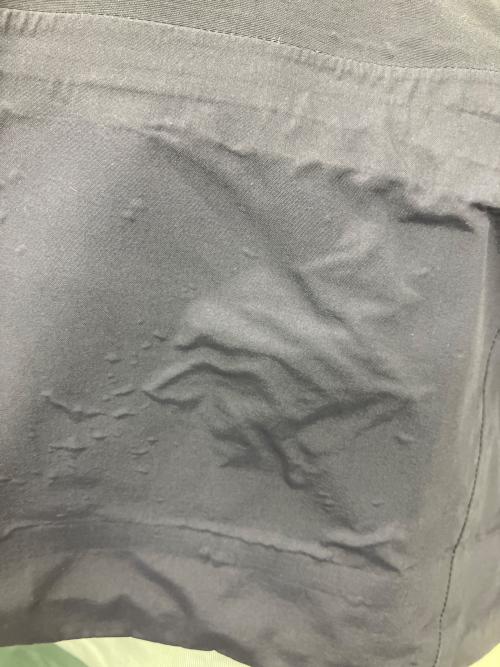 Patagonia（パタゴニア）Patagonia (パタゴニア) Triolet JKT パープル サイズ:Sの古着・服飾アイテム