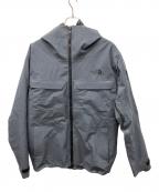 THE NORTH FACEザ ノース フェイス）の古着「パウダンストリクライメイ ジャケット」｜グレー