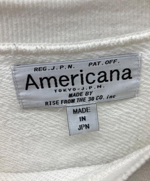 Americana（アメリカーナ）Americana (アメリカーナ) 長袖ワンピース ホワイト×ブラック×グレー×グリーン サイズ:Freeの古着・服飾アイテム