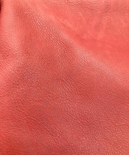 COACH（コーチ）COACH (コーチ) レザーバッグ レッドの古着・服飾アイテム