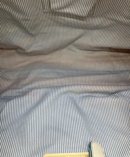 CELINE（セリーヌ）CELINE (セリーヌ) セミショルダーバッグ ホワイト×ライトブルーの古着・服飾アイテム