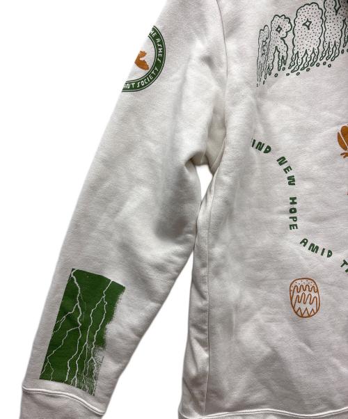 Patagonia（パタゴニア）Patagonia (パタゴニア) プルオーバーパーカー ホワイト×グリーン×ベージュ サイズ:Lの古着・服飾アイテム