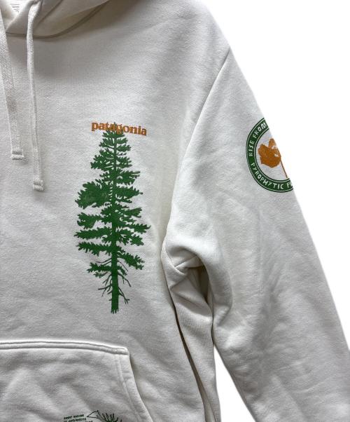 Patagonia（パタゴニア）Patagonia (パタゴニア) プルオーバーパーカー ホワイト×グリーン×ベージュ サイズ:Lの古着・服飾アイテム