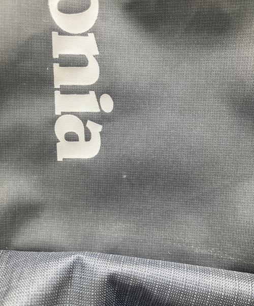 Patagonia（パタゴニア）Patagonia (パタゴニア) リュック グレーの古着・服飾アイテム
