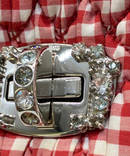 MIU MIU（ミュウミュウ）MIU MIU (ミュウミュウ) ギンガムチェックショルダーバッグ レッドの古着・服飾アイテム