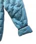 中古・古着 THE NORTH FACE (ザ ノース フェイス) Astro Light Jacket ブルー サイズ:M　　　　　　　　：12000円