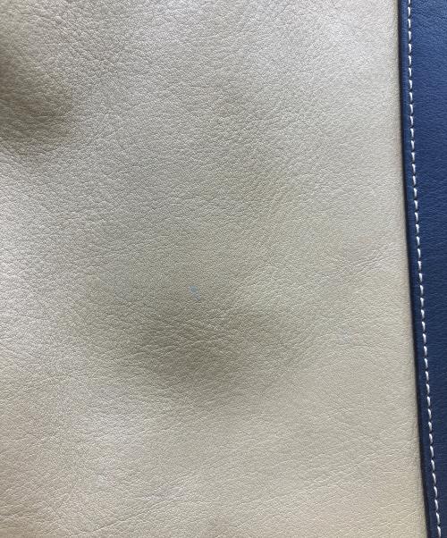 LOEWE（ロエベ）LOEWE (ロエベ) カディスレザートートバッグ ベージュ×グリーンの古着・服飾アイテム