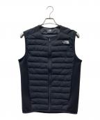 THE NORTH FACEザ ノース フェイス）の古着「レッドランプロベスト」｜ブラック