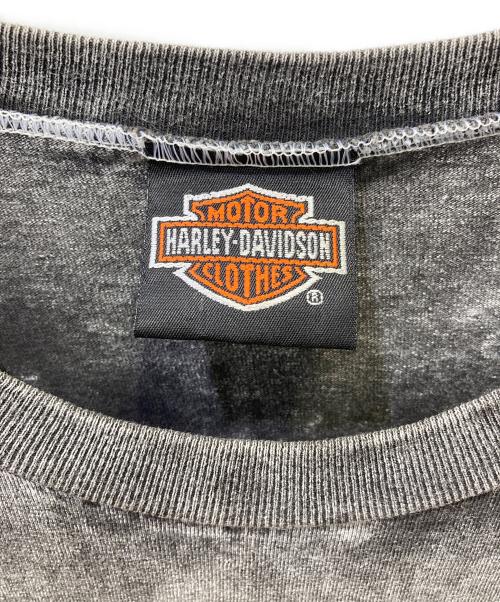 HARLEY-DAVIDSON（ハーレーダビッドソン）HARLEY-DAVIDSON (ハーレーダビッドソン) 半袖カットソー グレー サイズ:Lの古着・服飾アイテム