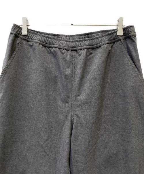 THE NORTH FACE（ザ ノース フェイス）THE NORTH FACE (ザ ノース フェイス) パンツ グレー サイズ:XLの古着・服飾アイテム