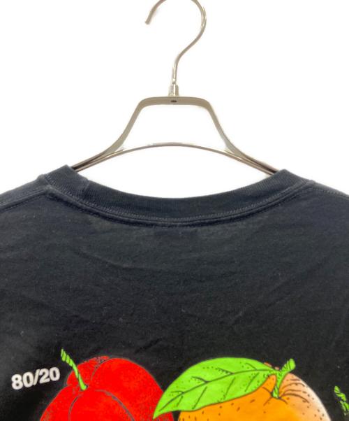 stussy（ステューシー）stussy (ステューシー) Tシャツ ブラック サイズ:Lの古着・服飾アイテム