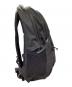 THE NORTH FACE (ザ ノース フェイス) デイパック：6000円