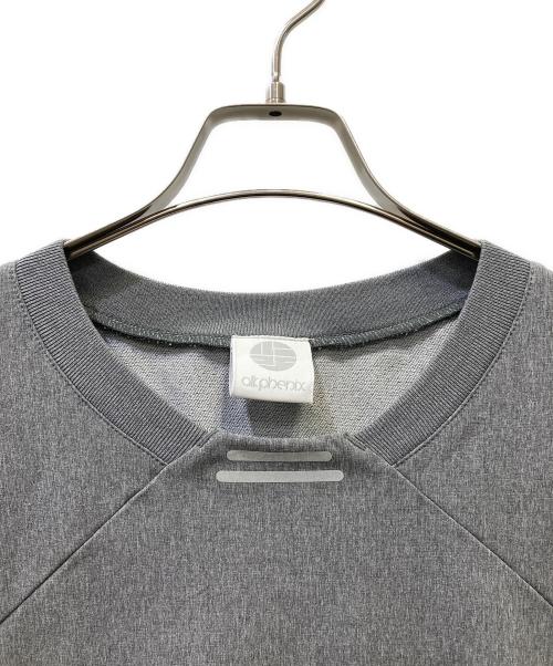 alk phenix（アルクフェニックス）alk phenix (アルクフェニックス) 半袖カットソー グレー サイズ:Ｌの古着・服飾アイテム