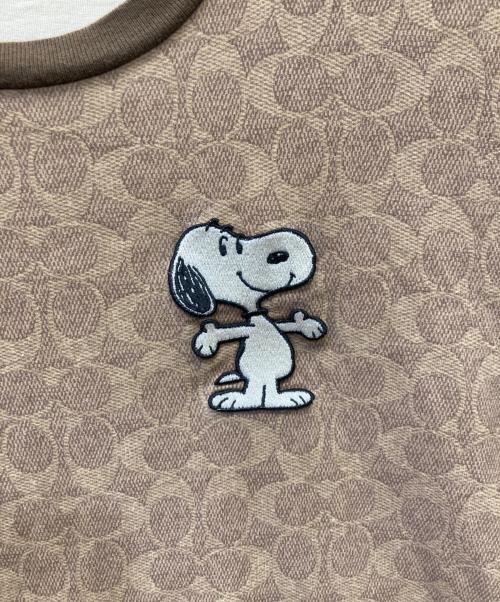 COACH（コーチ）COACH (コーチ) PEANUTS (ピーナッツ) 半袖カットソー ブラウン サイズ:Mの古着・服飾アイテム