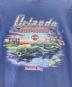 中古・古着 HARLEY-DAVIDSON (ハーレーダビッドソン) 半袖カットソー ブルー サイズ:XL：6000円