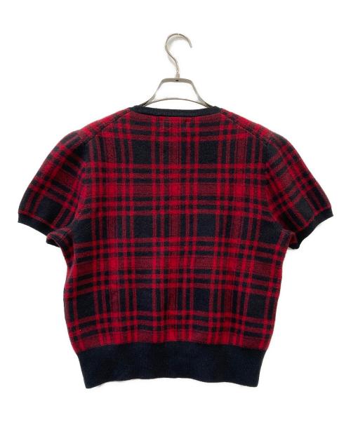 POLO RALPH LAUREN（ポロ・ラルフローレン）POLO RALPH LAUREN (ポロ・ラルフローレン) 薄手ニット レッド×ブラック サイズ:SIZE Mの古着・服飾アイテム