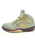 NIKE (ナイキ) AIR JORDAN ミントグリーン サイズ:29cm：14000円