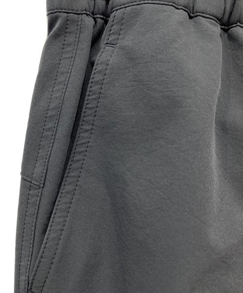 THE NORTH FACE（ザ ノース フェイス）THE NORTH FACE (ザ ノース フェイス) ドーロライトパンツ グレー サイズ:Mの古着・服飾アイテム
