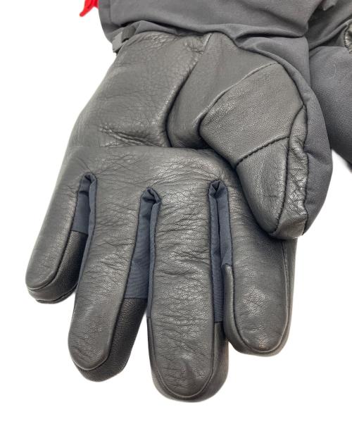 THE NORTH FACE（ザ ノース フェイス）THE NORTH FACE (ザ ノース フェイス) マウンテングローブ MT Glove ブラック サイズ:L 未使用品の古着・服飾アイテム