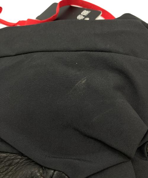 THE NORTH FACE（ザ ノース フェイス）THE NORTH FACE (ザ ノース フェイス) マウンテングローブ MT Glove ブラック サイズ:L 未使用品の古着・服飾アイテム
