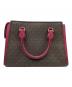MICHAEL KORS (マイケルコース) 2WAYバッグ ブラウン×ピンク：6000円