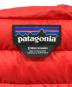 Patagoniaの古着・服飾アイテム：10000円