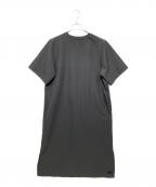 THE NORTH FACEザ ノース フェイス）の古着「シアサッカーベントメッシュワンピース」｜グレー