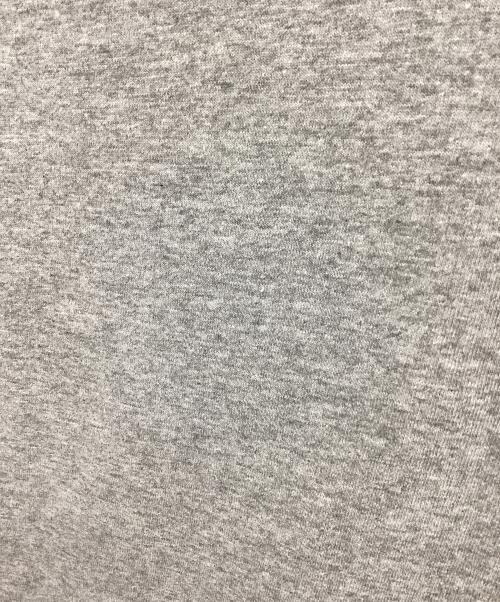 stussy（ステューシー）stussy (ステューシー) 半袖カットソー ライトグレー サイズ:Lの古着・服飾アイテム