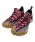 NIKE ACG（ナイキエーシージー）の古着「Nike ACG Mountain Fly Low 